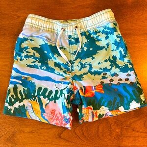 Hanna Andersson Swim Trunks 100cm Size US 4